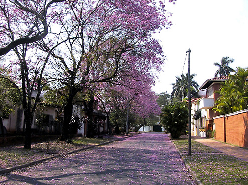 張貼日期：2006/11/24