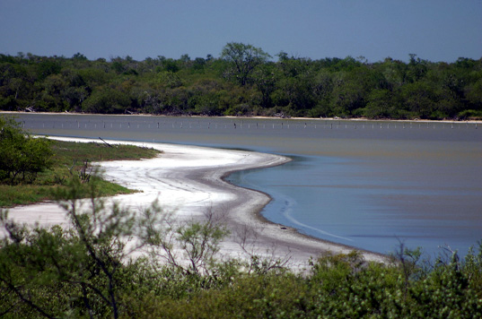 張貼日期：2006/11/24