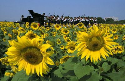 張貼日期：2006/6/26