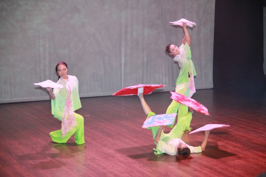 青年大使團以精湛的傳統舞蹈讓與會人士進一步了解台灣