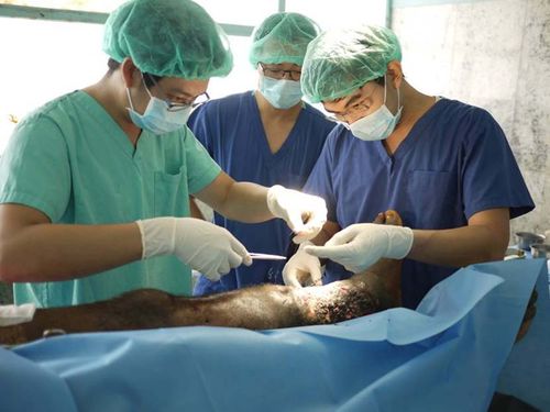 Taiwan’s medical missions in Swaziland