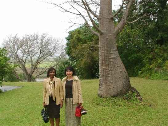 蔡大使夫人與歐盟常任代辦夫人合影留念