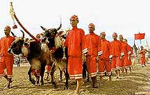 To mark the occasion of Royal Ploughing Ceremony Day, the Office is closed on Monday, 11 May 2009.