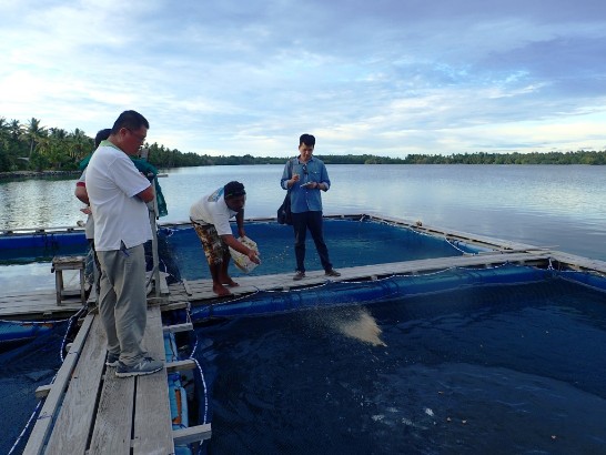 Post Date:2015/11/20