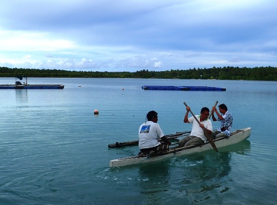 Post Date:2015/11/20