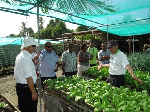 萬大使(左1)、楊團長(右1)陪同I部長(左2)訪團一行，參觀駐團園藝作物青江菜栽培情形