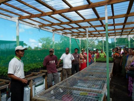 我駐吐國農技團潘技師講解家庭園藝競賽之相關規則