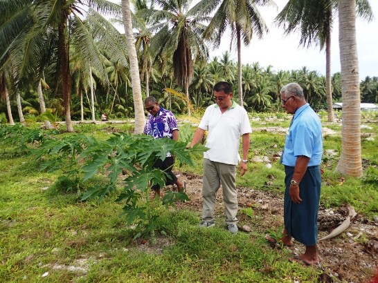 張貼日期：2015/11/20