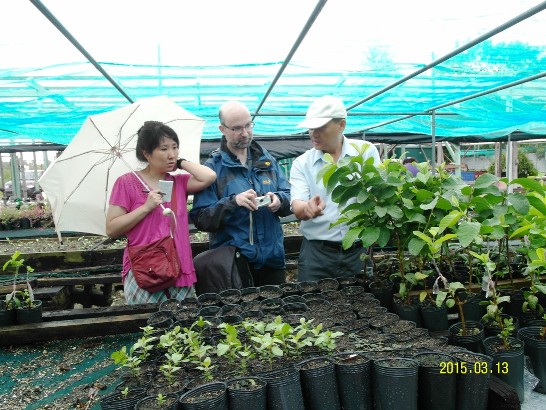 張貼日期：2015/3/13