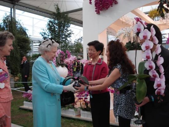 張代表致贈以英女王「伊莉莎白二世」命名之蘭花