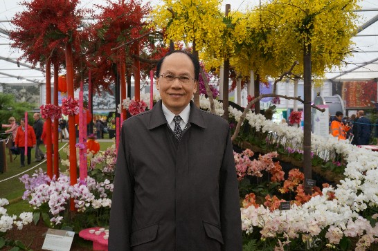 台灣蘭花 5度登上切爾西花展