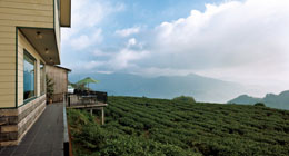 Homes Away from Home