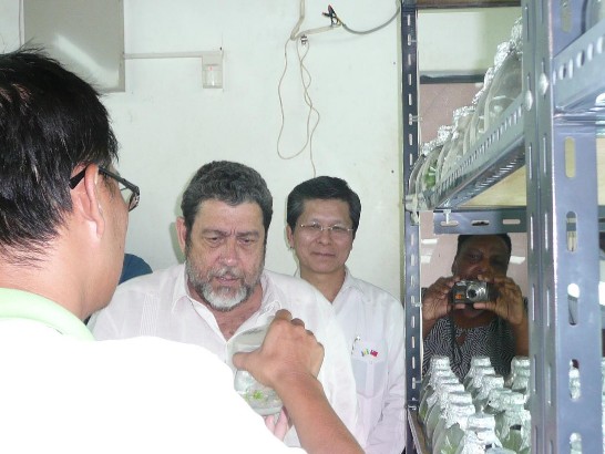 張貼日期：2011/3/29