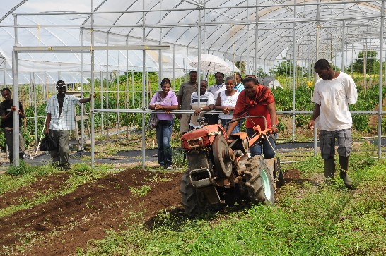 張貼日期：2012/5/24