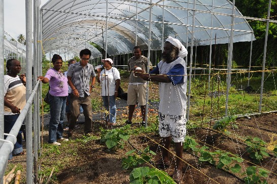 張貼日期：2012/5/24