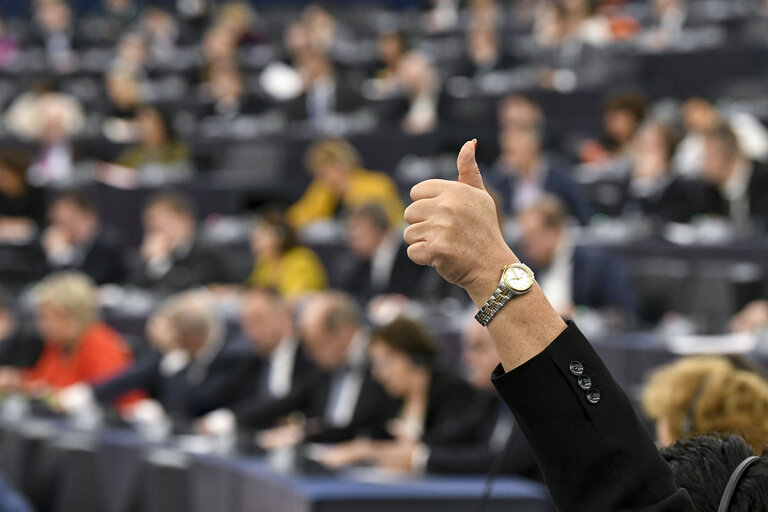 照片出處:https://multimedia.europarl.europa.eu/en/photoset/p_EP-161043C