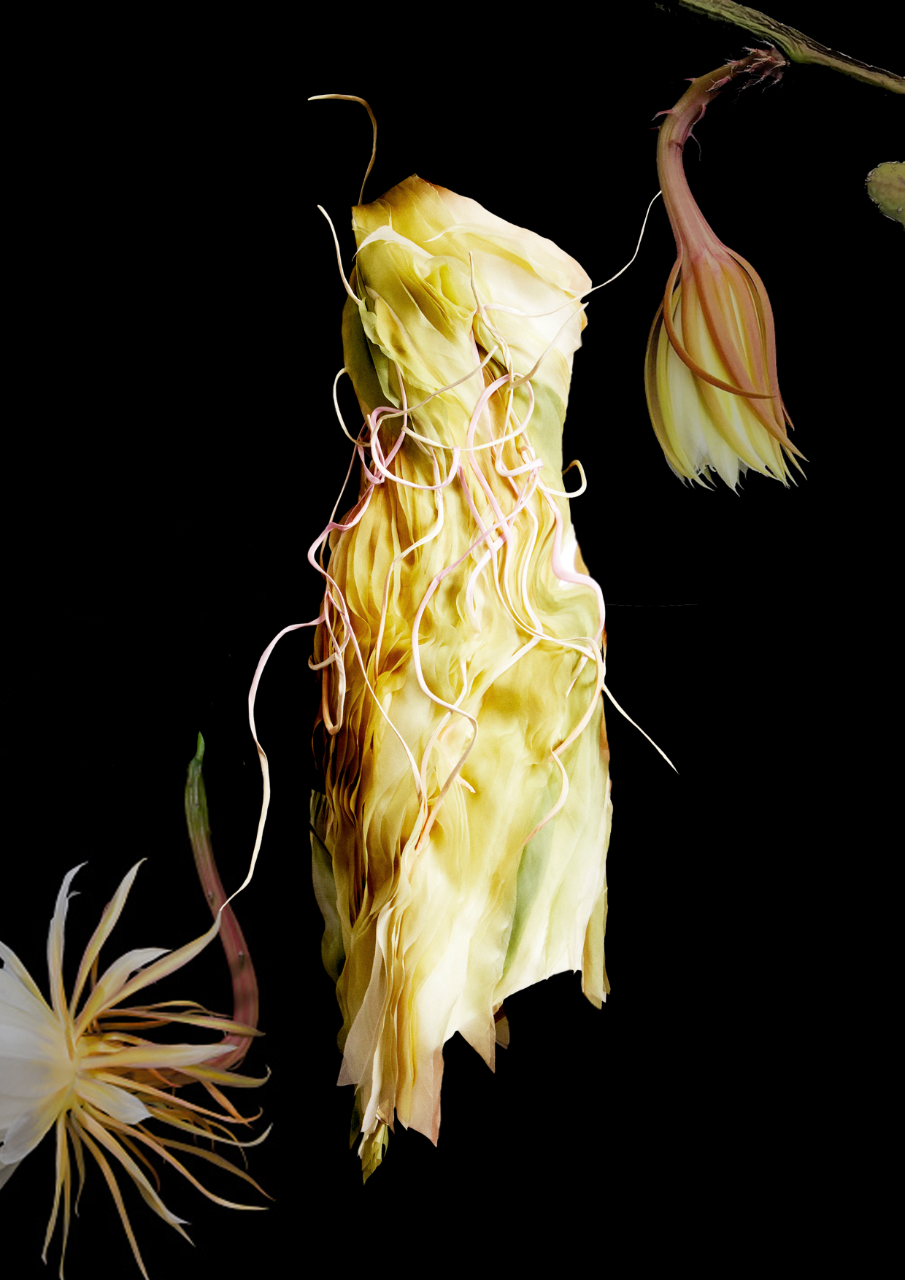 XIV Florence Biennale_Moment_ChunYuanJean_C JEAN