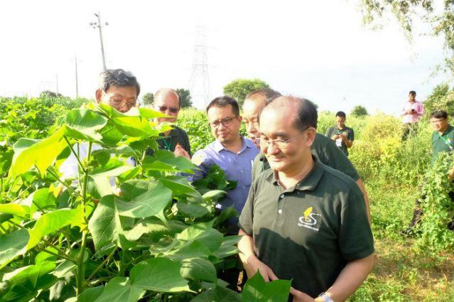 The young agricultural delegation, led by Mr. Lin Chih-Hung (1st from right), Deputy Director General of the Council of Agriculture, is visiting a cotton field at the guidance of Mr. Robert H. Touthang (3rd from left), Deputy Director, Laxmanrao Inamdar National Academy for Cooperative Research and Development (Gururam) under the National Cooperative Development Corporation.