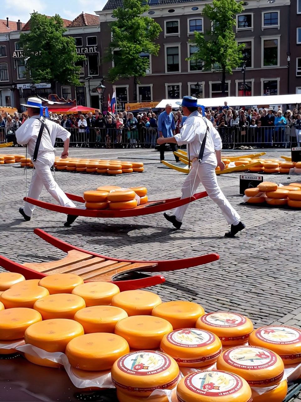 486167466_1045583831079595_3205704400790091293_n