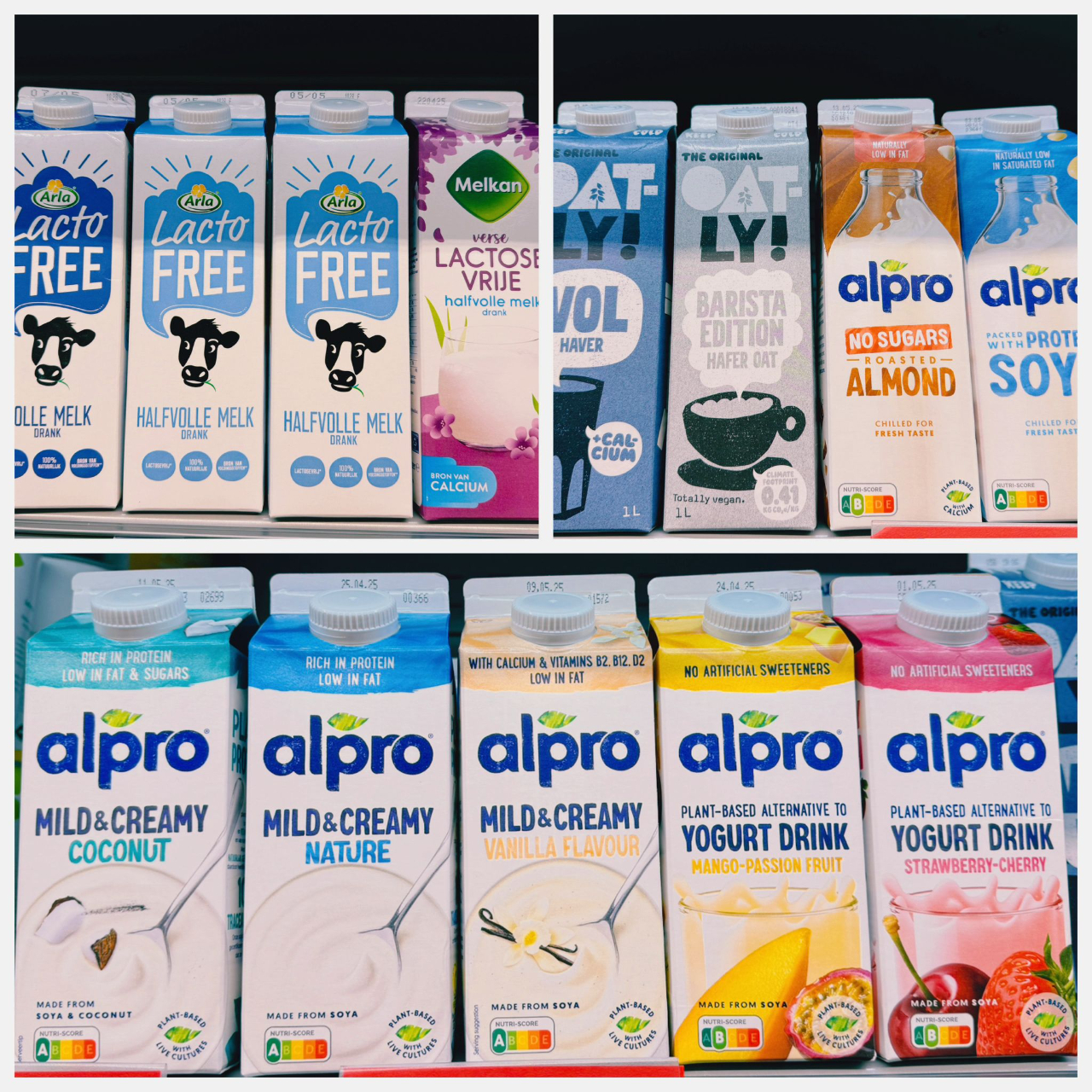 WhatsApp Image 2025-04-15 at 17.15.23