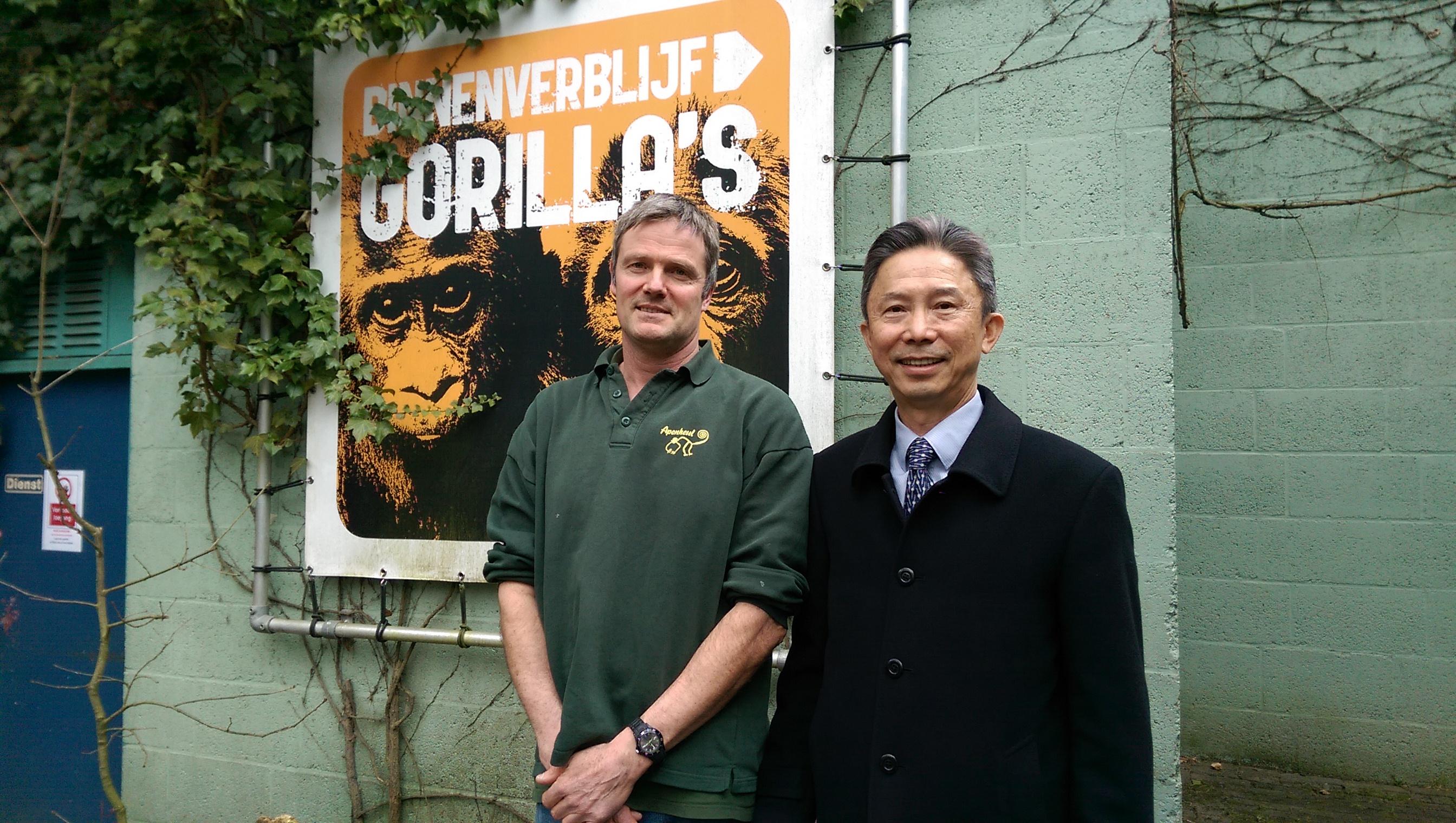 Ambassador Tom Chou is pictured with zoo keeper Sjaak van den Nieuwendyk. Taipei City Zoo's silver back gorilla Bao Bao arrived at Apenheul on March 19. He'll replace Jambo as the new alpha male.