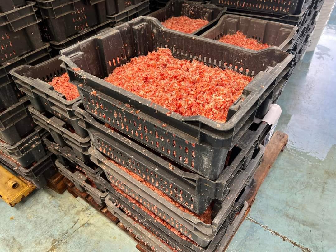 Visita la empresa pesquera RYMAR