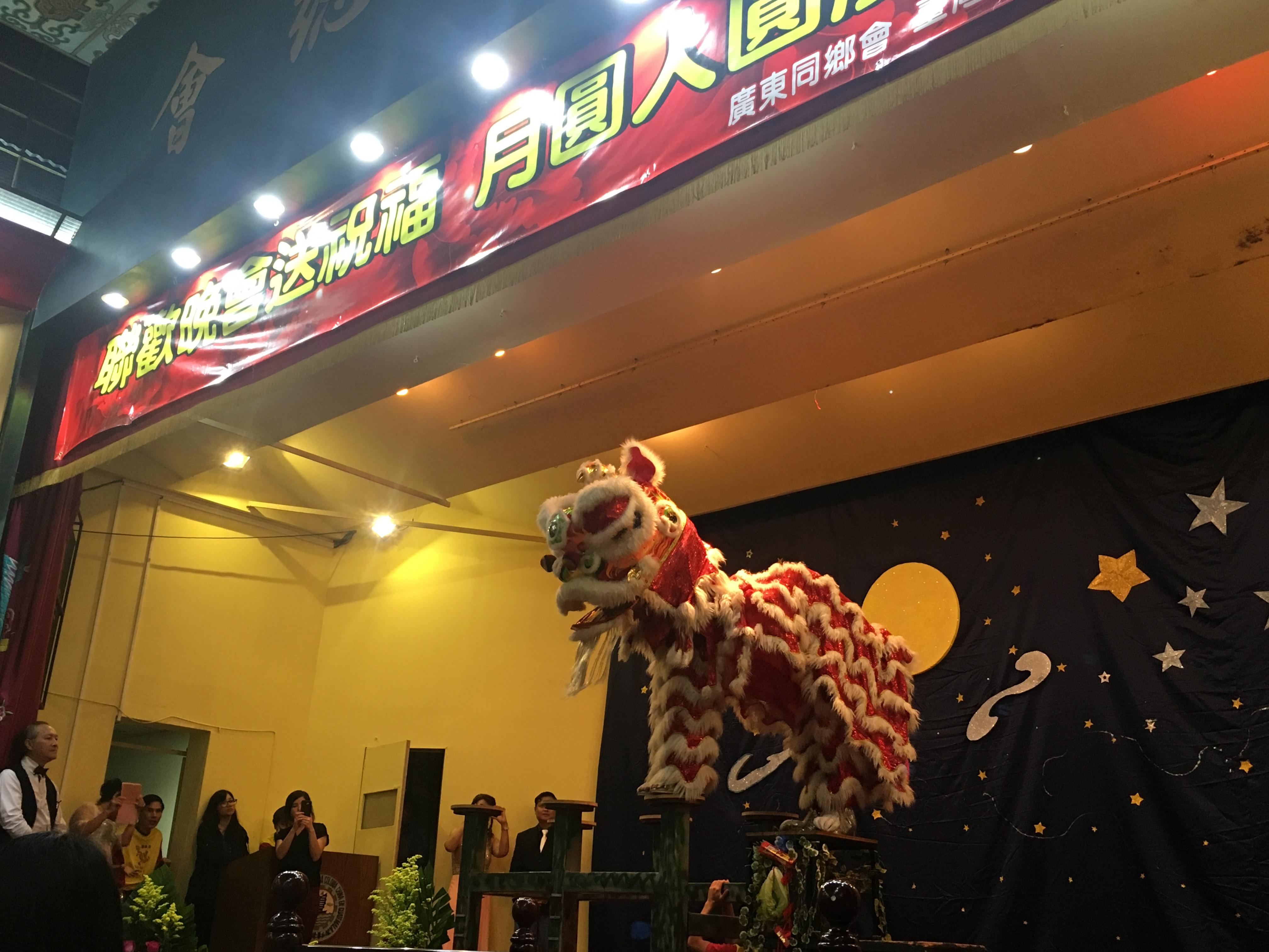 祥獅獻瑞表演帶動熱鬧氣氛