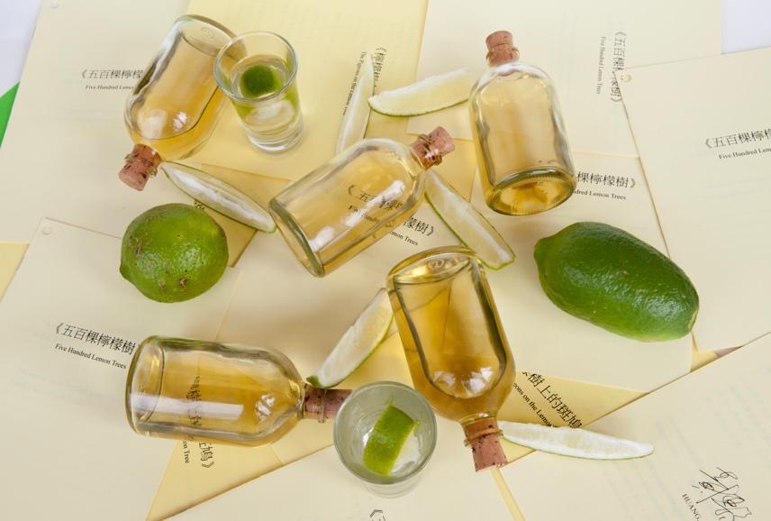 黃博志《五百顆檸檬樹》