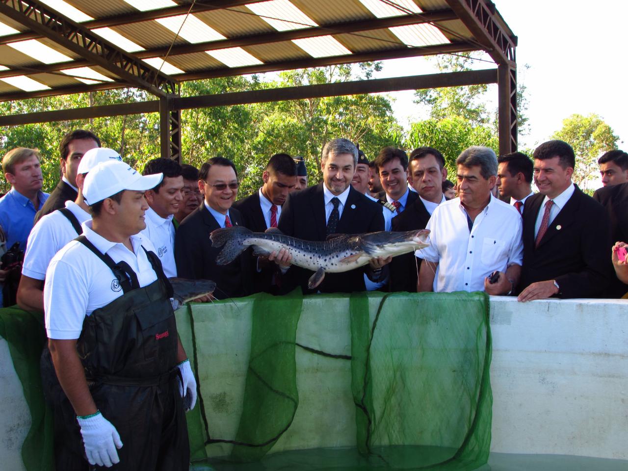 中華民國駐巴拉圭周麟大使於107年11月20日前往Eusebio Ayala市與巴國總統阿布鐸及農牧部長李奇共同主持我國技術團「淡水白鯧魚苗繁養殖計畫」觀摩會活動，周大使與阿布鐸總統視察未來「鴨嘴魚魚苗繁養殖計畫」種魚養殖情形，阿布鐸總統親手捧起技術團為未來「鴨嘴魚魚苗繁養殖計畫」所準備的鴨嘴魚種魚。