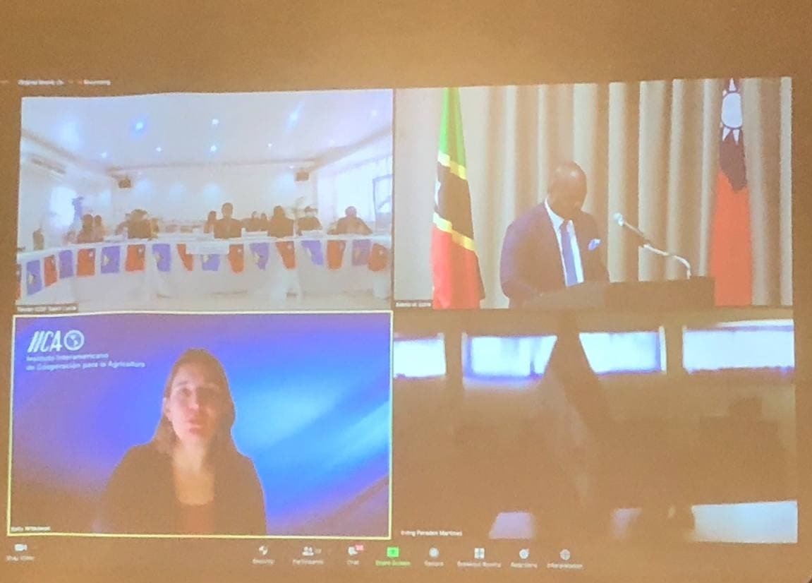 photo_2021-11-19_16-19-54