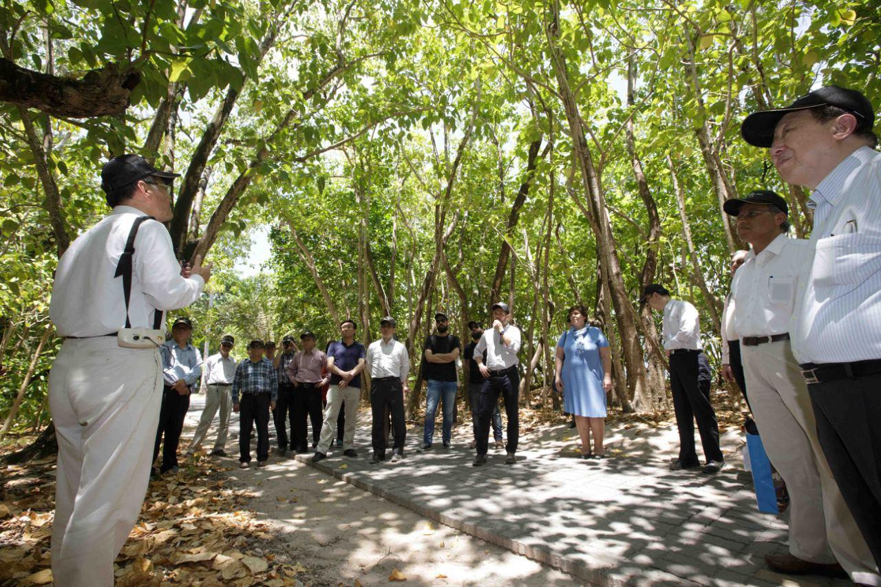清大生命科學系特聘教授李家維介紹包括蕨類在內的壯觀原生林