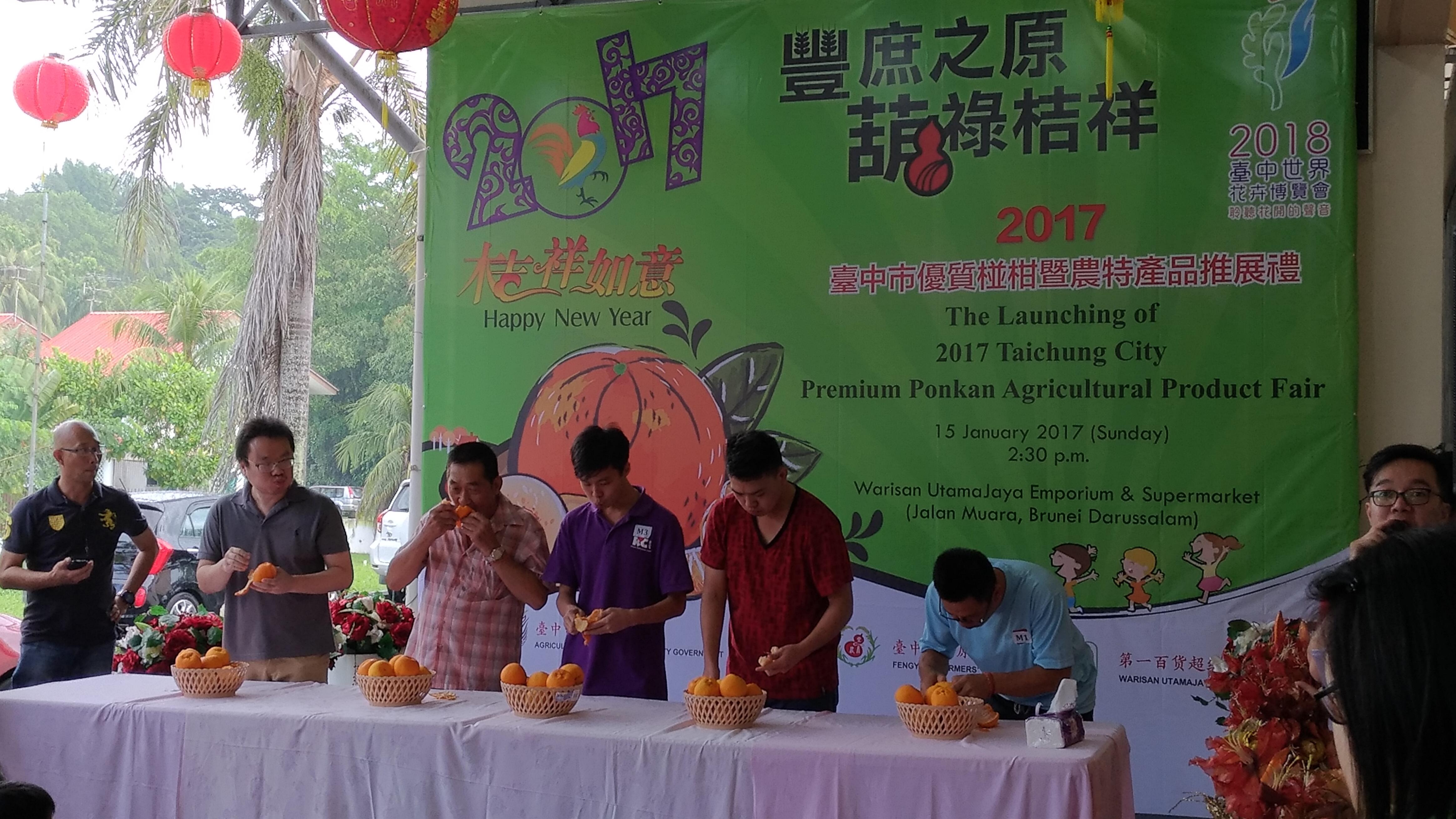 「吃椪柑大賽」參賽者〝奮力〞享用臺中椪柑，令人垂涎。