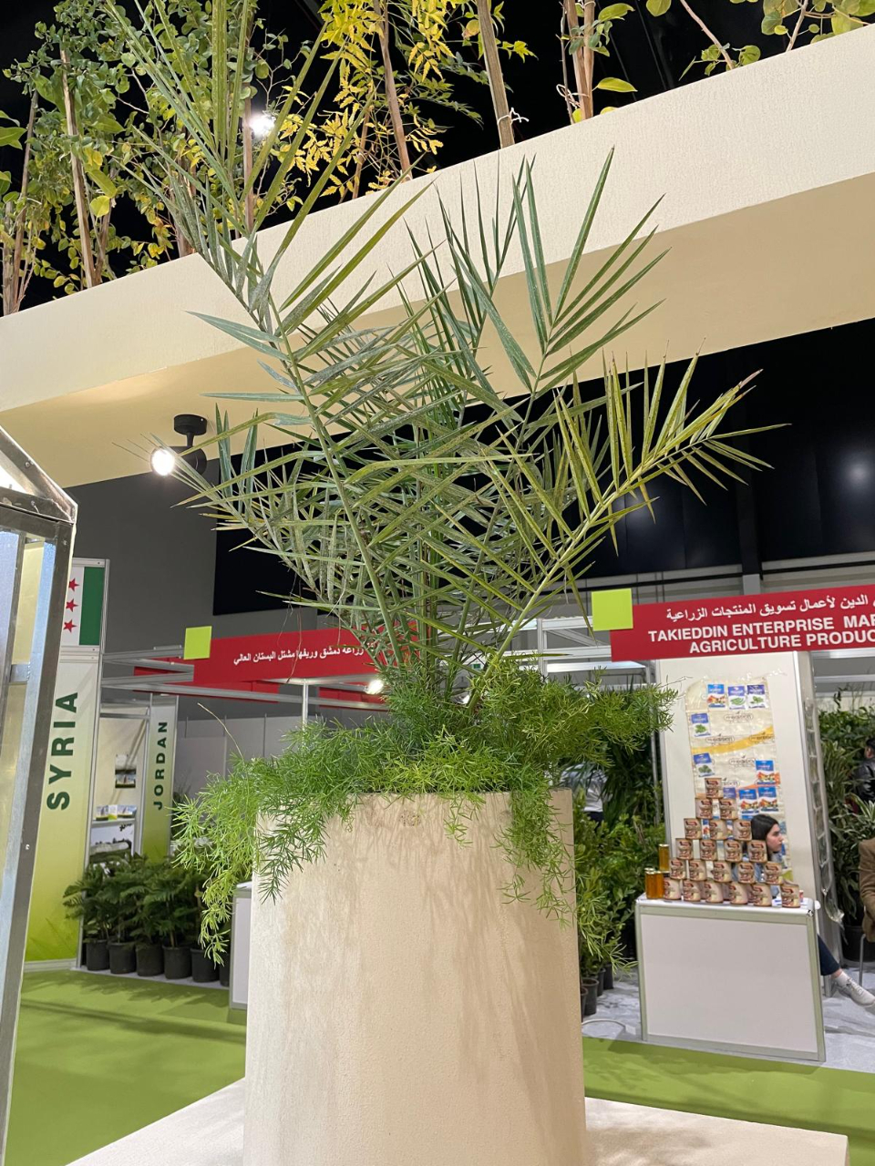 駐巴林技術團配合巴林市政暨農業部參加本年2月間舉行的園藝展，提供組培計畫成果展覽。