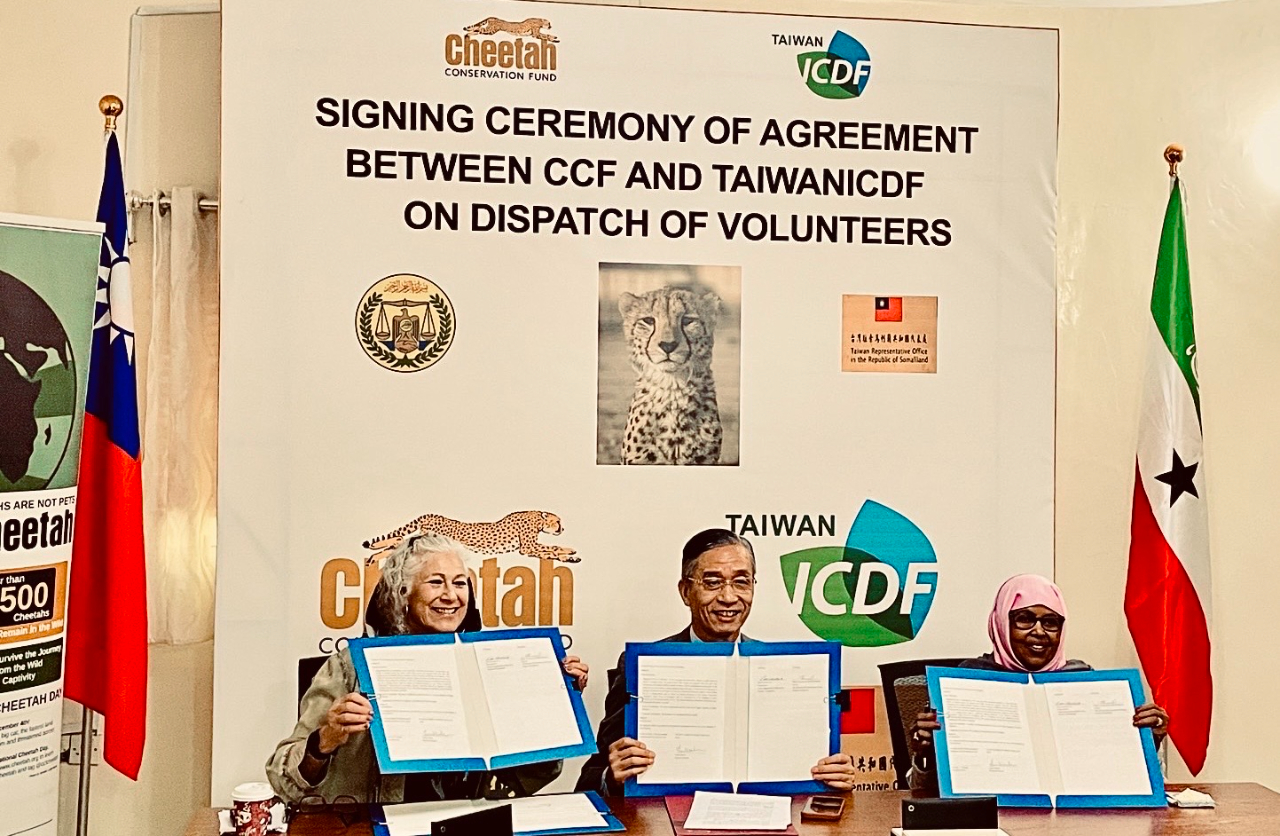 Marking the annual International Cheetah Day, Taiwan International Cooperation and Development Fund (ICDF) signed the Agreement on the Dispatch of Volunteers with the Cheetah Conservation Fund in Somaliland on 4 December 2022