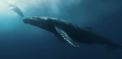 img20170912122111118_800