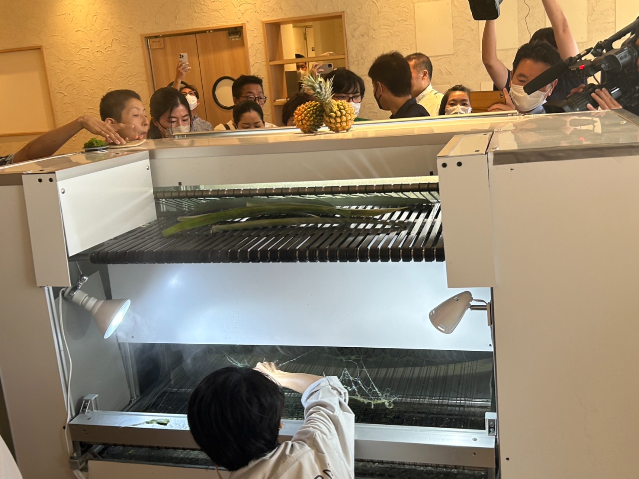 2020年7月該公司和台灣產業用紡織品協會、台農發股份有限公司、沖繩縣東村、大宜味村、國頭村、Kugani Kitchen合同会社共同簽署合作備忘錄(MOU)，推動使用鳯梨或鳳梨葉為原料之纖維產品開發、製造及行銷。