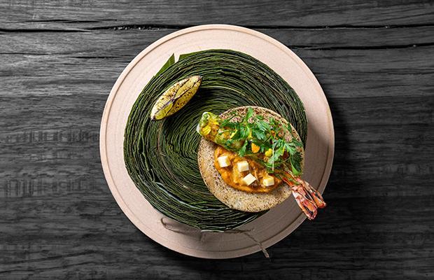 img20200326161427453